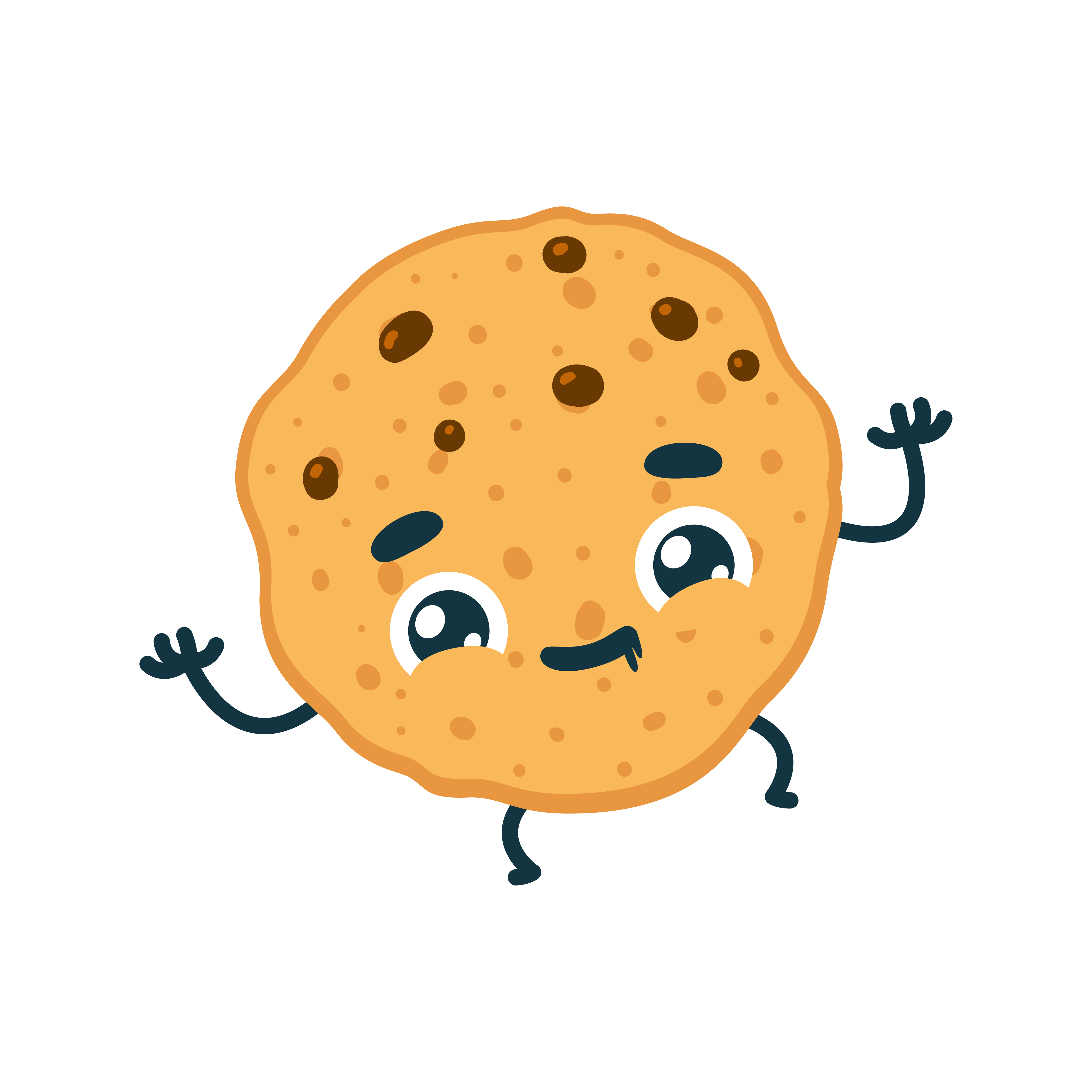 galleta_divi for dummies
