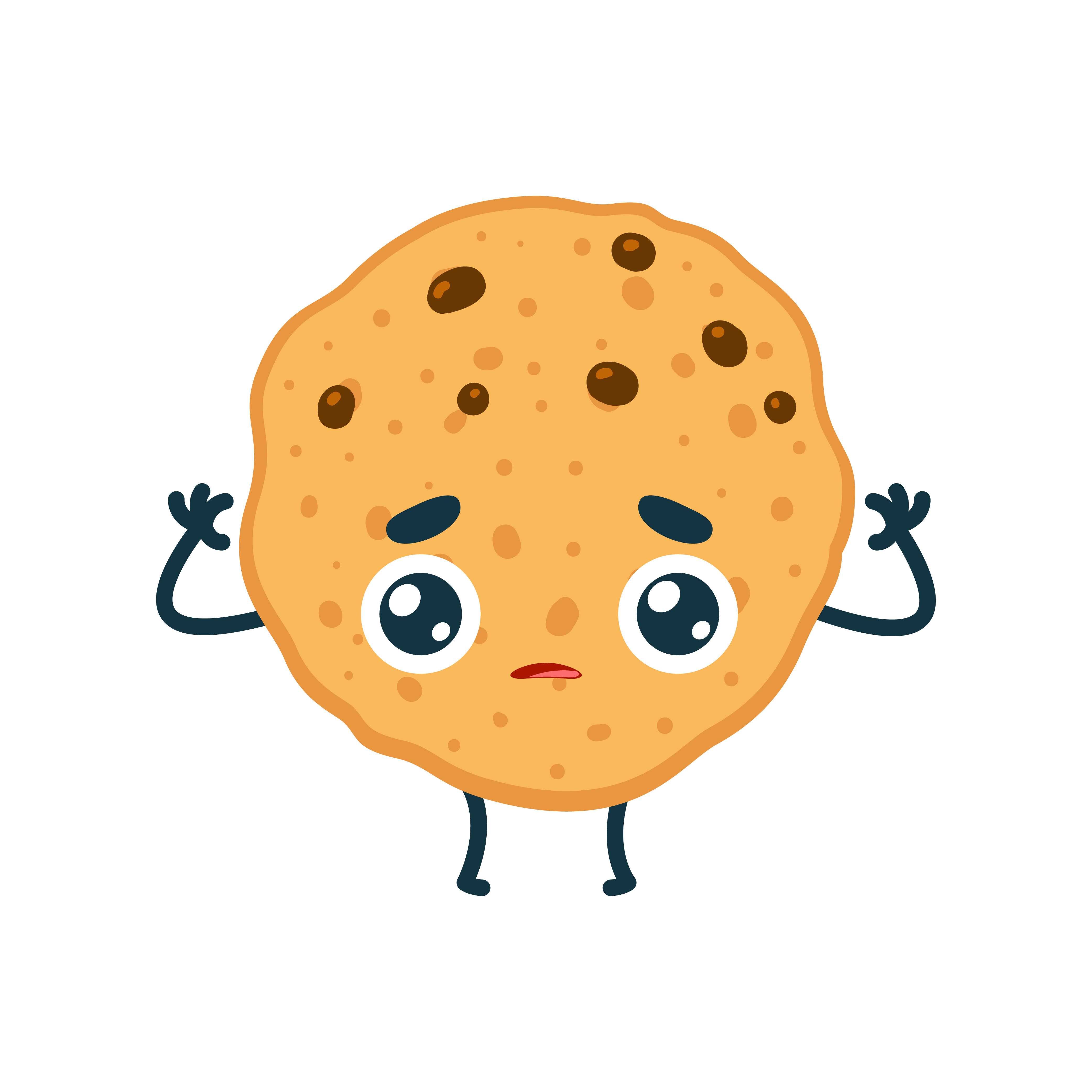 galleta_wordpress for dummies